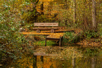 An old wooden bench by the pond, among autumn trees with golden leaves, lit by the sun's rays,....
