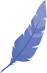 Blue feather illustration isolated on white background