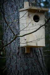 Budka lęgowa na drzewie w lesie. Gniazdo, jaja, pisklęta. © Tomasz