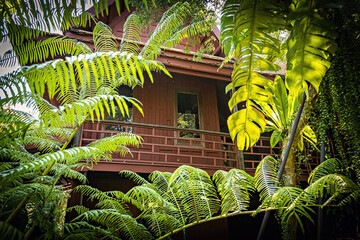 Exterior details of Jim Thompson house details and the garden in Bangkok, Thailand