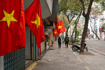 Vietnamese flags