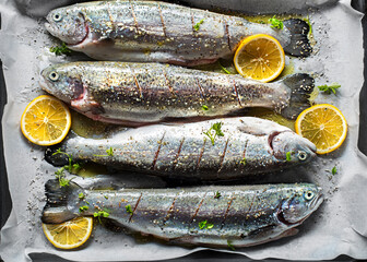 Trout fish salmon dish - 565945250