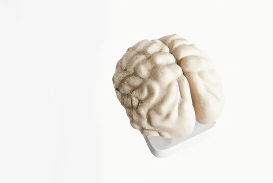illustrazione generata con intelligenza artificiale di sezione di cervello umano, colore bianco su sfondo bianco, salute e medicina , modello tridimensionale 