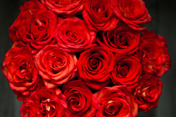 fresh dark red roses close up texture background for St. Valentine's Day