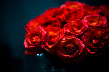A bunch of fresh dark red roses close up for St. Valentine's Day