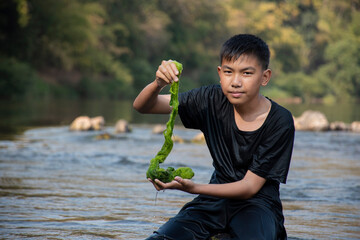 Asian schoolboy holding freshwater algae from diving into the river and pulling it up to study the...