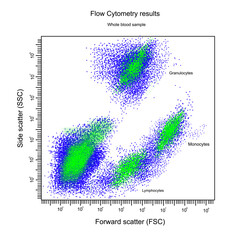 The flow cytometry result of Whole blood sample that analyzes in Forward and Side scatter parameter and separated to Granulocyte, Monocytes and Lymphocytes