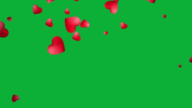 Red hearts falling animation in green screen for valentine and wedding background