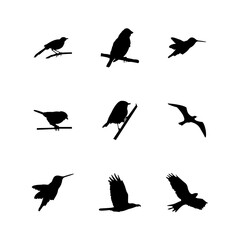 bird set silhouette vector design icon