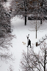 About men, birds and dogs walking in the park in the winter