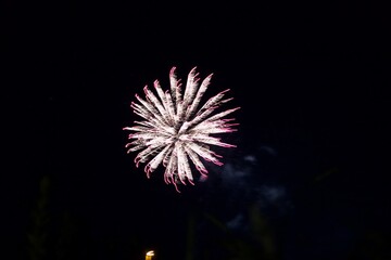 fireworks in the night sky