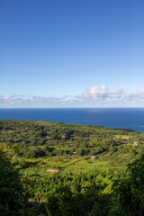 Hawaii von oben,  Grün mit Meerblick und blauem Himmel 