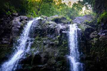 Three Bears Falls, Road to Hana, Maui, Hawaii - Wasserfall im Grünen, Idyllisch, Dschungel, tiefgrüne Pflanzen und Natur auf der Inseln Maui, Hawaii, an der Straße nach Hana, Upper Waikani