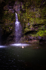 Three Bears Falls, Road to Hana, Maui, Hawaii - Wasserfall im Grünen, Idyllisch, Dschungel, tiefgrüne Pflanzen und Natur auf der Inseln Maui, Hawaii, an der Straße nach Hana, Upper Waikani