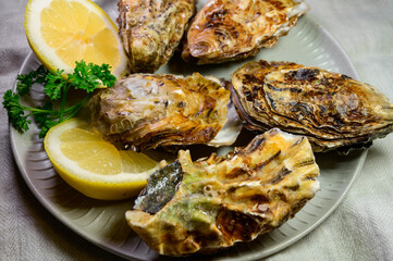 Eating of fresh big raw Zeeuwse Creuse Dutch oysters from Zeeland, Netherlands