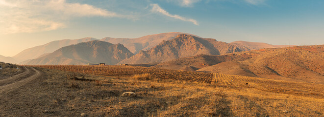 Fototapeta na wymiar Stunning wide angle view of the Caucasus mountains and vineyards during a winter sunset