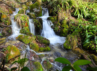 Fototapeta na wymiar small falls of a stream in the woods