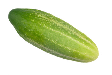 Fresh organic cucumber isolated on white background.The concept of environmentally friendly...