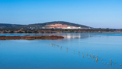 Saline de Mireval avec un étang au premier plan et de la végétation de salicornes avec une colline et une carrière à l'arrière plan une journée ensoleillée