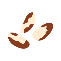 Brazil nuts icon isolated on white.