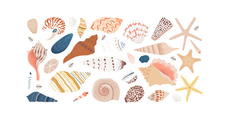Set of diverse sea shell, aquatic life animals in flat cartoon style. Isolated marine seashell, star fish and more exotic wildlife. Summer vacation collection, tropical beach shells.	