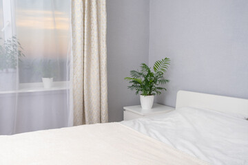 Beautiful modern white room furnished with green plants with sunset or sunrise outside the window. Beautiful home interior. Beautiful hotel room with a view of beautiful sunsets and sunrises.