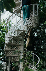 people going up a spiral staircase surrounded by plants