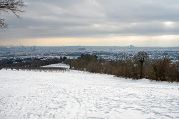Winter view of Vienna from am Himmel in the snow