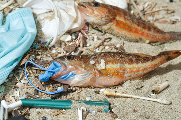 Sick Fish dead eating plastic rubber glove on contaminated sea habitat.pollution