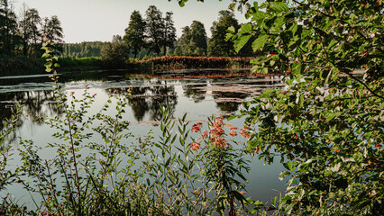 Fototapeta premium View of the lake in the forest on a sunnz,summer daz in Podlasie ,Poland
