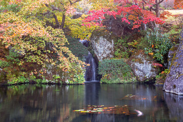 A waterfall inside beautiful autumn trees	