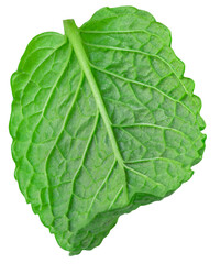 Obraz premium Fresh Mint leaves isolated on the white background. Mint leaf, peppermint close up.