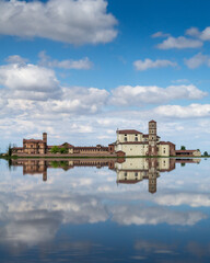 Flooded rice field