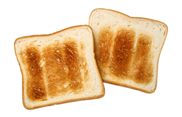 Two pieces of fresh roasted toasts cut out
