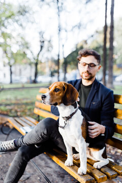 stylish young man sits with his beagle dog on a park bench