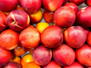 Nectarines on sale in a shop