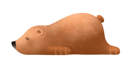 Lovely lazy bear. Bear cub isolated on white background. © arkadiwna