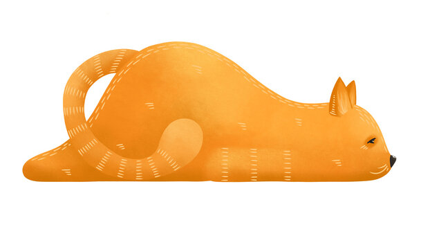 Lovely lazy cat. Kitten isolated on a white background