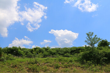 Obraz premium a countryside hillside hill sunny ridge crest day clean air mountain hike sky