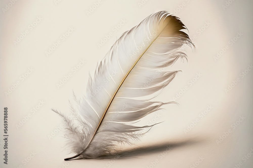 Poster a white feather resting on a white surface with a light reflection on it's surface and a shadow of t