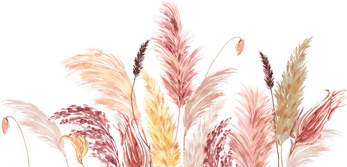 Delicate pampas grass boho bouquet painted in watercolor. Dried beige, pink herbs  floral border, arrangement. Botanical boho elements isolated on white. Wedding invitation, greeting, card, printing © TanyaOak