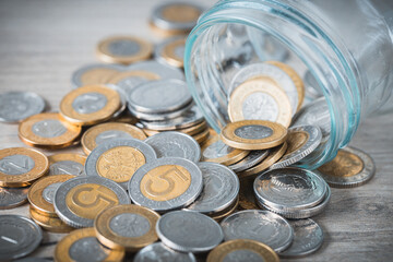 spilled from the jar of savings, Polish money, spilled zlotys, Piggy bank, saving money, Blackheads