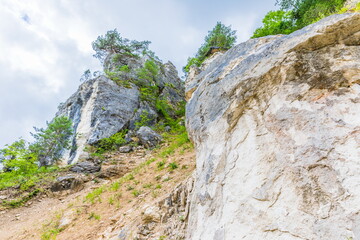 rocks in the valley of the Shareula river with rare plants and trees, Georgia