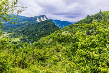 Vegetation of the Shareula River Valley with relic plants, Georgia