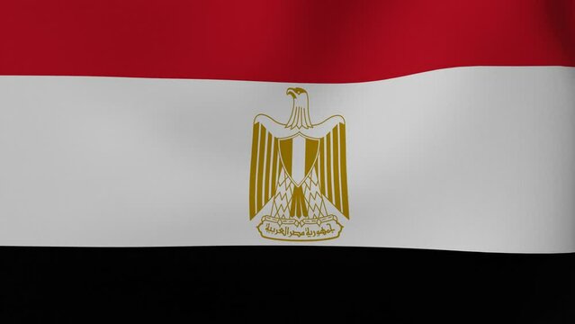 National Flag in the Wind - Looping Animation  -Egypt