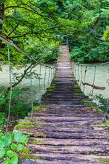 Obraz premium suspension pedestrian bridge in the valley of the Shareula river with rare plants and trees, Georgia