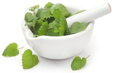 Lemon balm