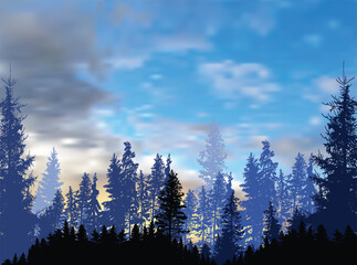 pine forest on blue cloudy sunset sky