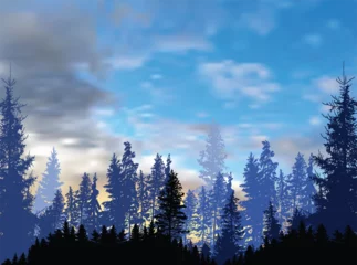Foto auf Acrylglas Wald im Nebel pine forest on blue cloudy sunset sky