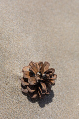 sand